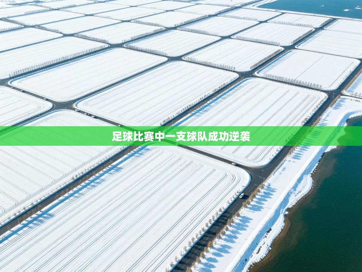 足球比赛中一支球队成功逆袭  第2张